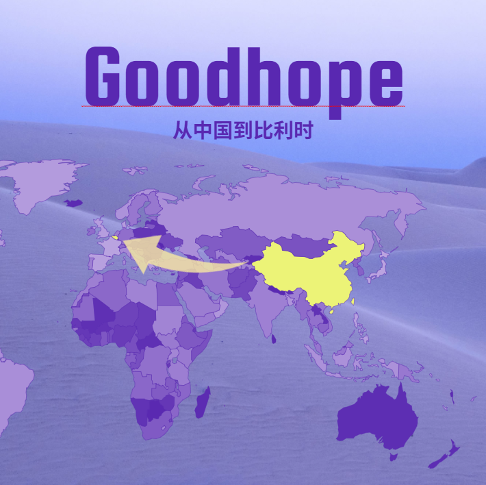 2025最新中国到比利时海运整柜价