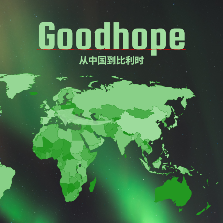 中国到比利时海运拼箱价目：深圳、香港、宁波、上海四大港口航线