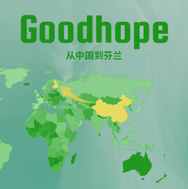 2025最新中国到芬兰拼箱海运和铁路运费