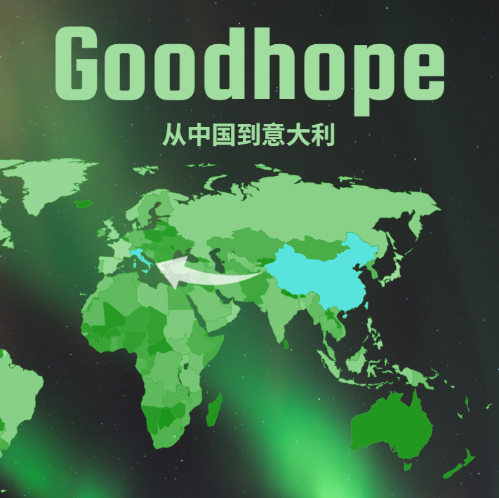 最新中国到意大利海运和铁路拼箱运费